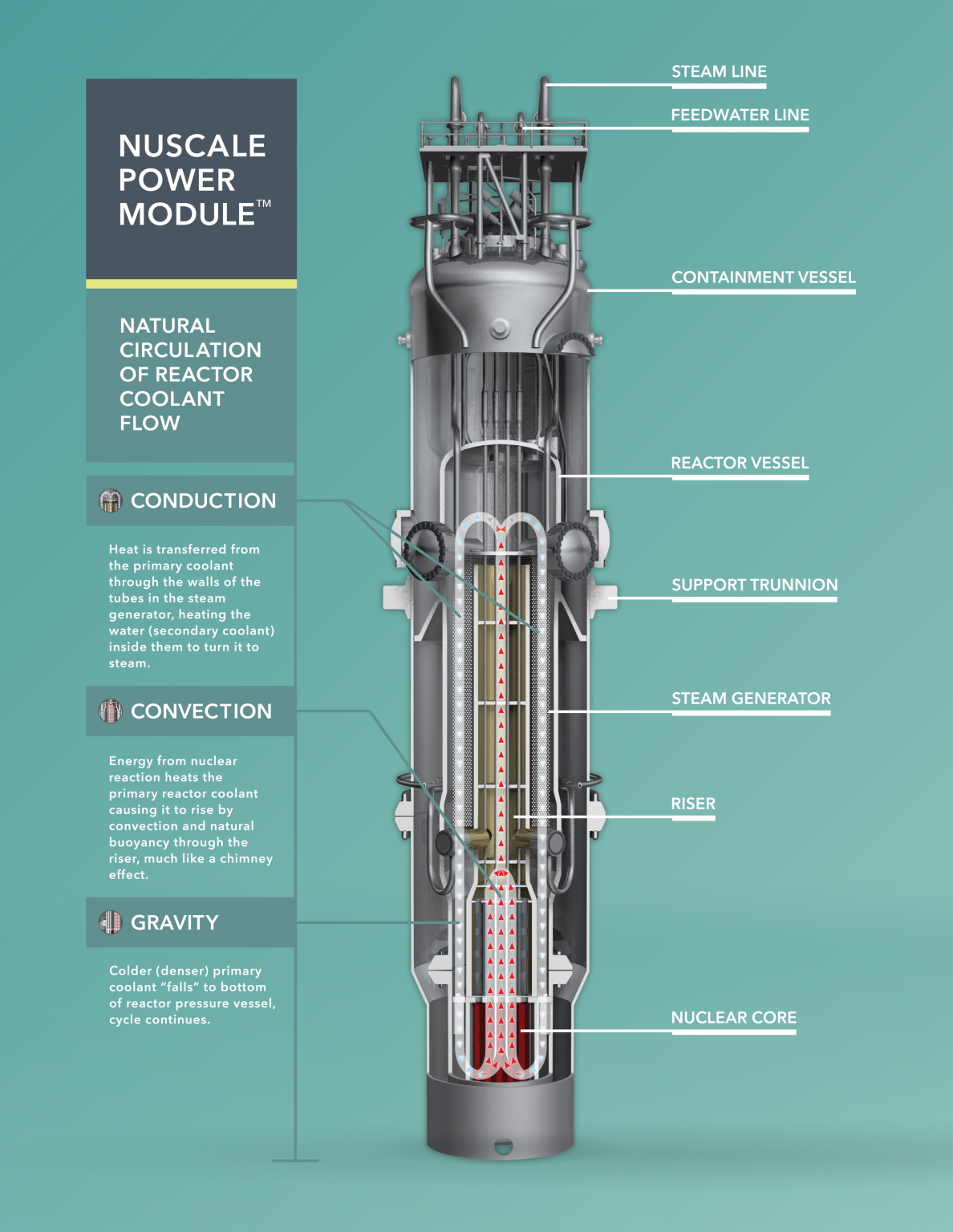 The Swiss PANDA test confirms the applicability of passive cooling for ...